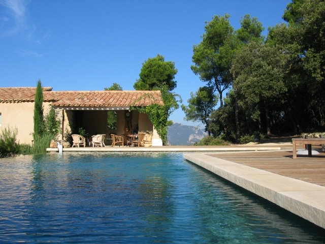 photo auba safran 1